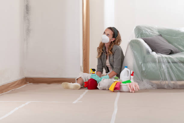 Reliable Basement Mold Remediation contractor in Harbor Springs, MI by Car Mold Remediation